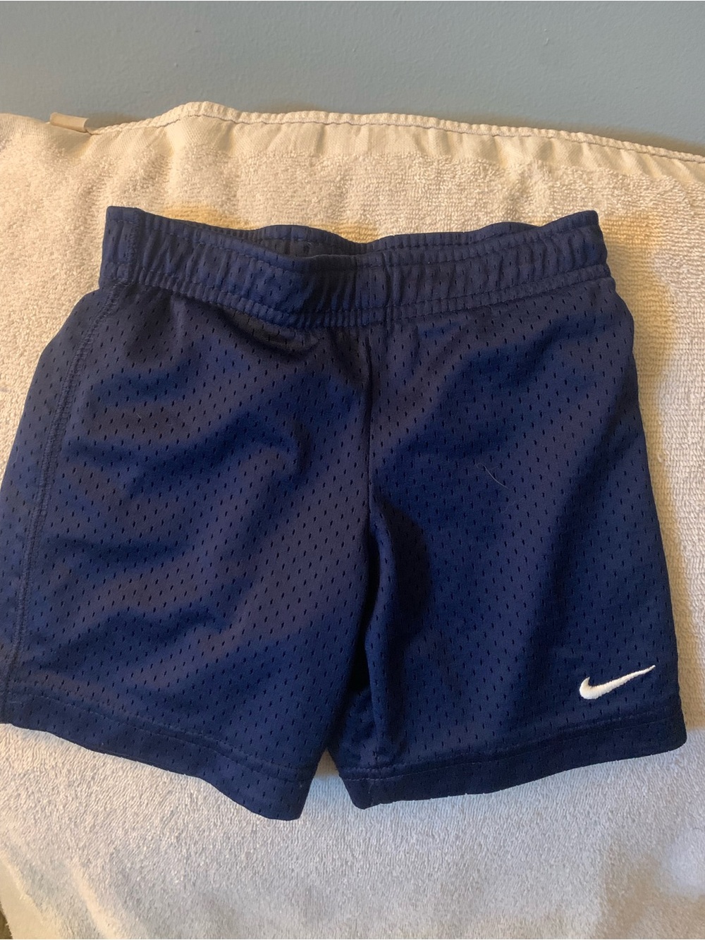 Nike Navy Blue Mesh Shorts